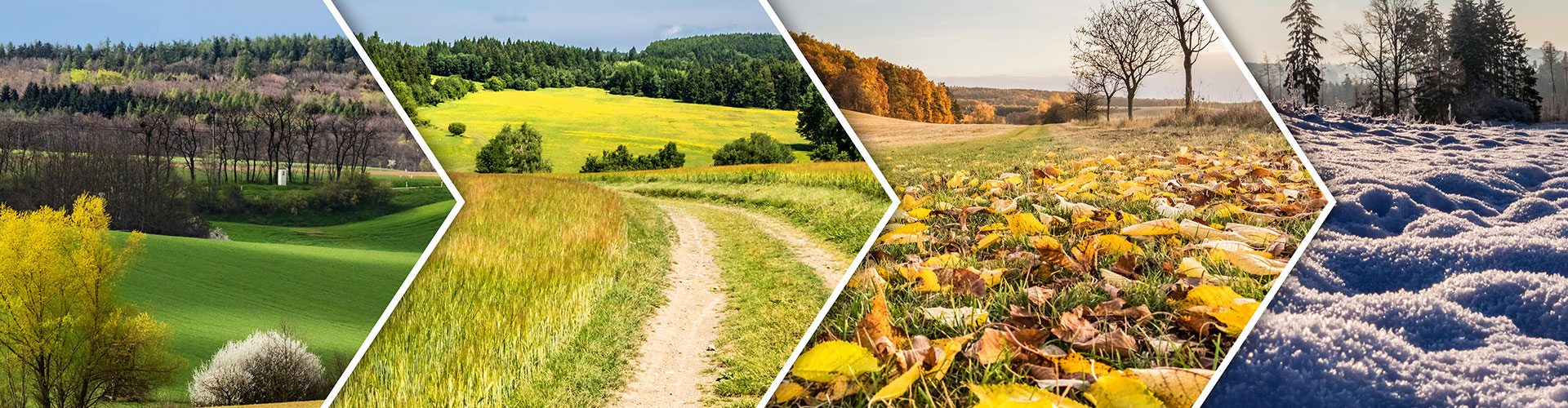 What is the best time of the year to travel?