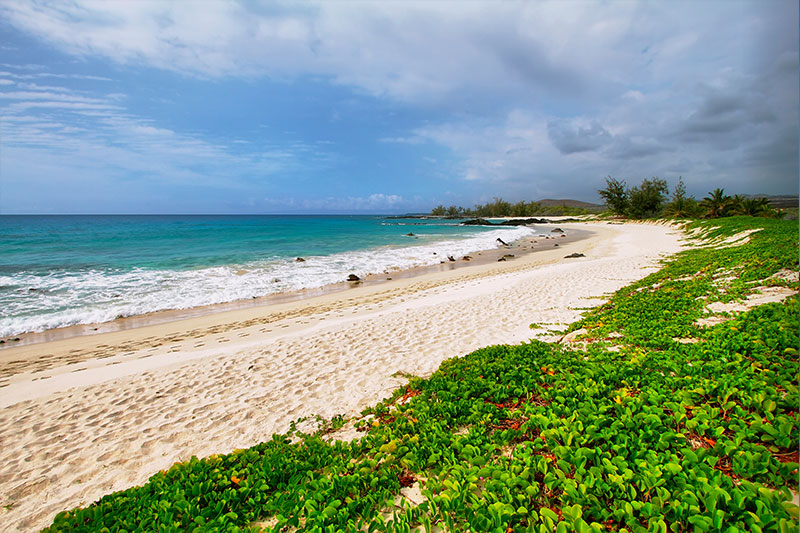 Top Beaches on Big Island